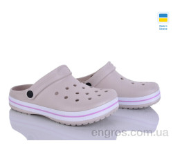 Кроксы Golden Lion